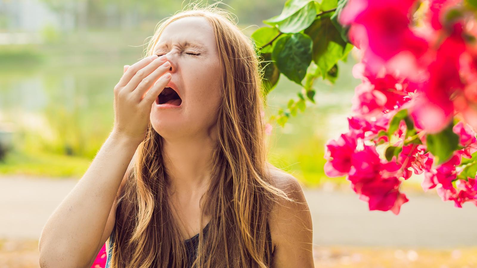 Pollen von zahlreichen Pflanzen können Heuschnupfen auslösen