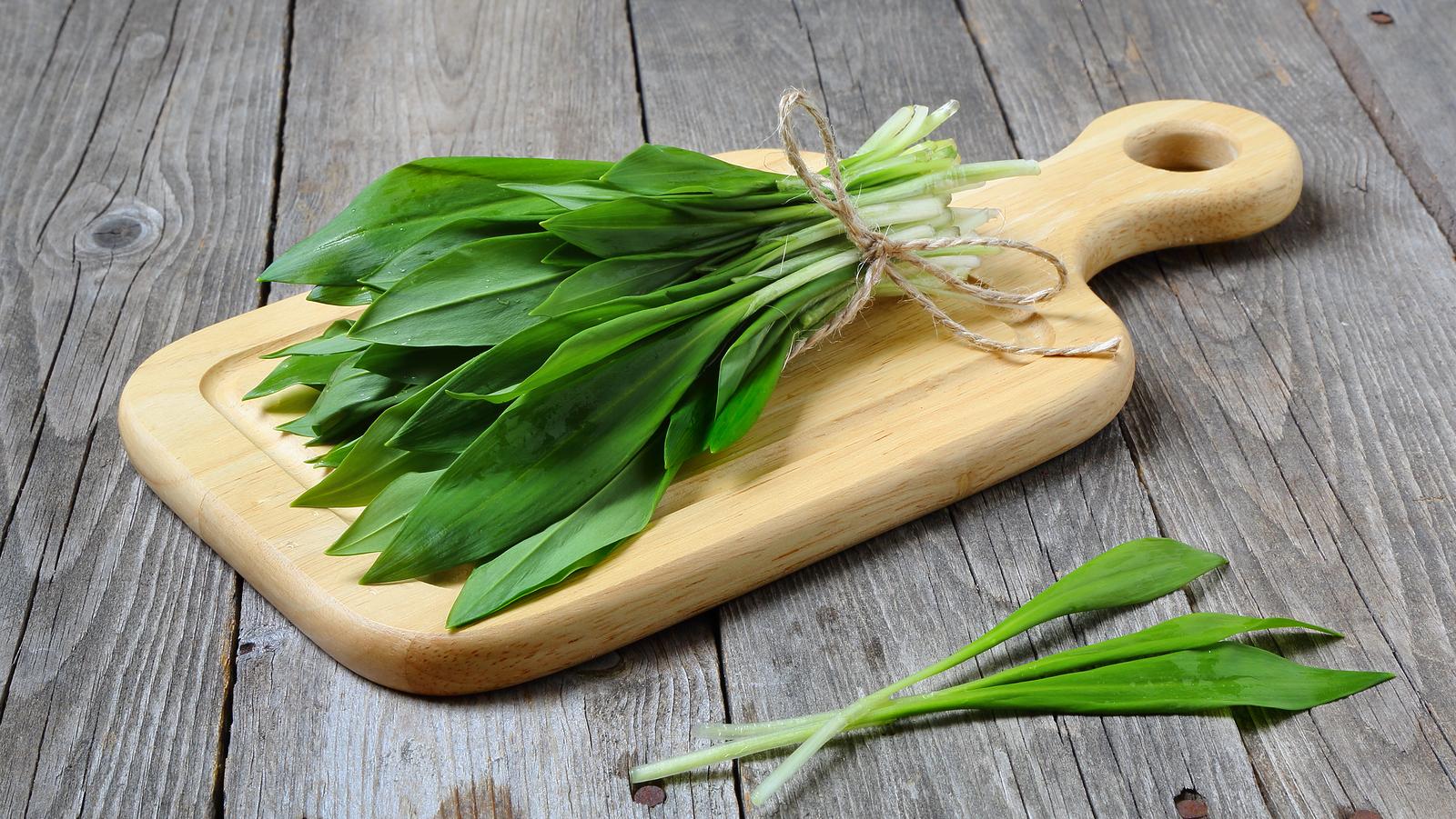 Bärlauch, ein pikantes Entgiftungsmittel