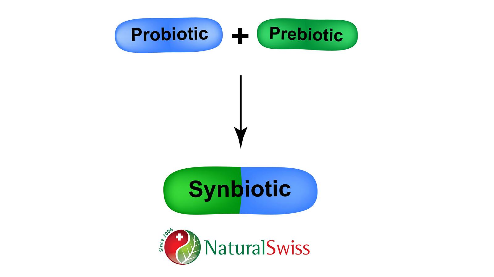 Synbiotikum