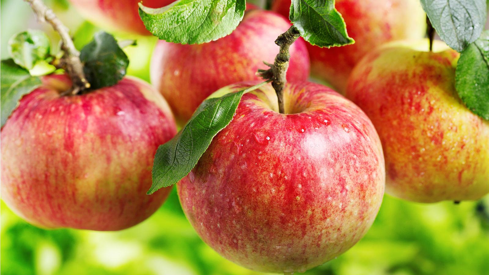 Roter Apfel für die Gesundheit
