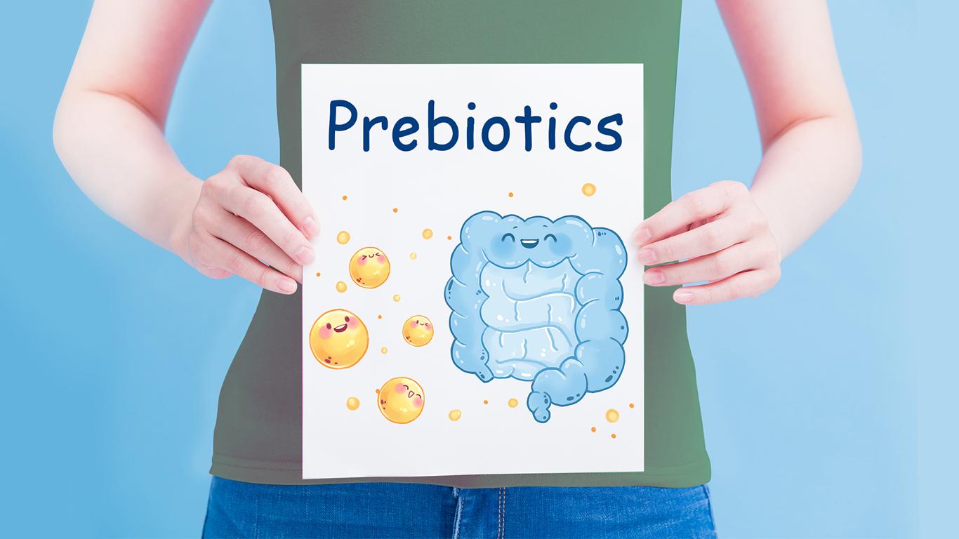 Präbiotika fördern die Vermehrung von Probiotika, die nützlichen Darmbakterien.