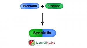 Warum ist ein Synbiotikum wirksamer als ein gewöhnliches Probiotikum?