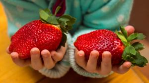 Erdbeeren machen schlank und reinigen