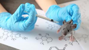 Mittel gegen Krebs: die Injektion wirkte bei Mäusen