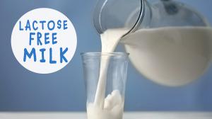 Laktosefreie Milch – ist pflanzliche Milch die bessere Wahl?