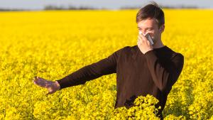 Pollenallergie: natürliche Methoden zum Vorbeugen und Behandeln